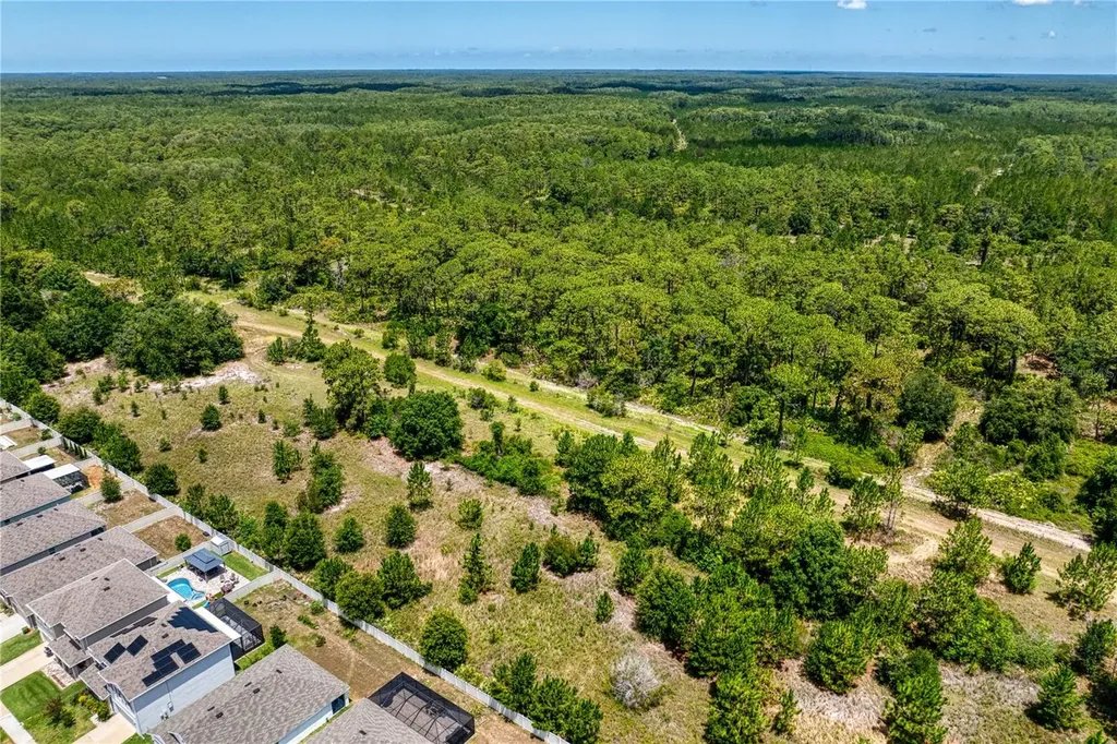 3288 Tucson Wind Place Odessa FL 33556