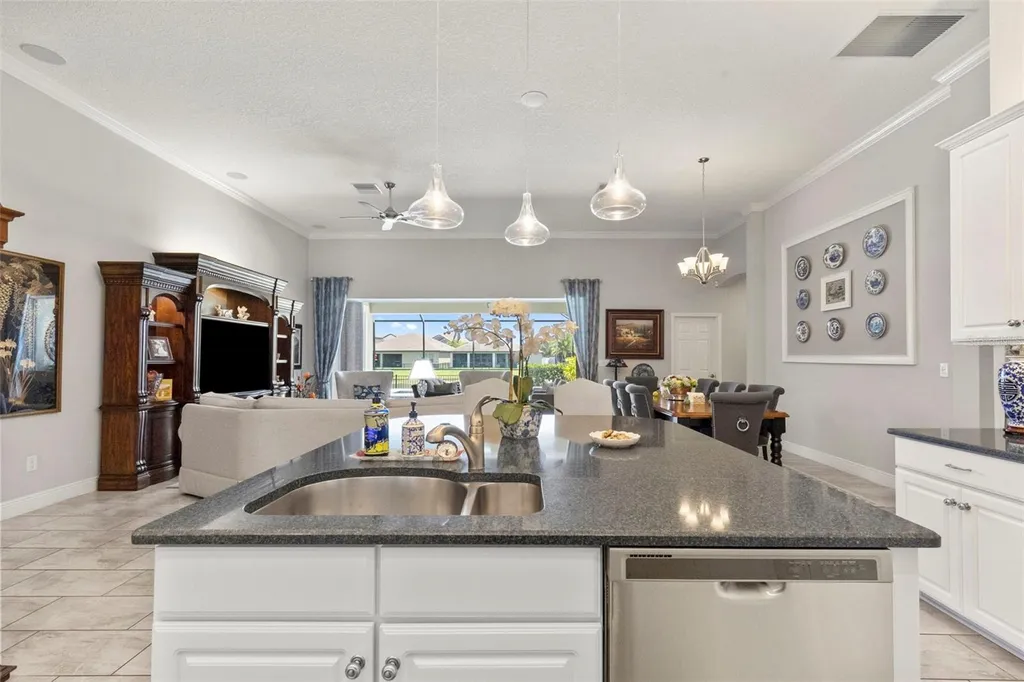 13340 Fawn Lily Drive Riverview FL 33579
