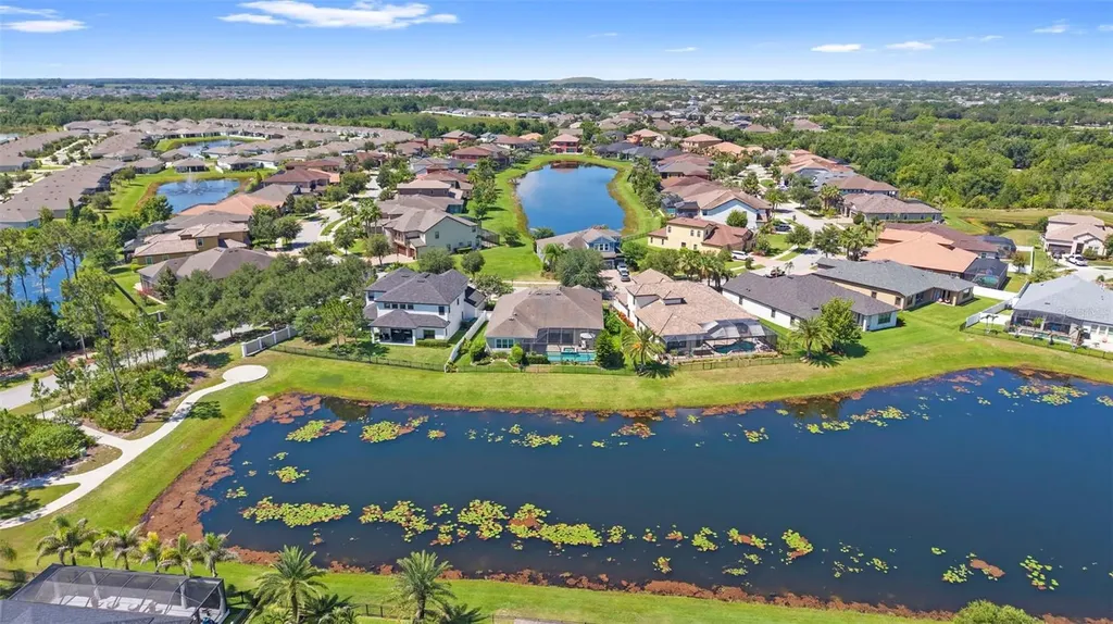 13340 Fawn Lily Drive Riverview FL 33579