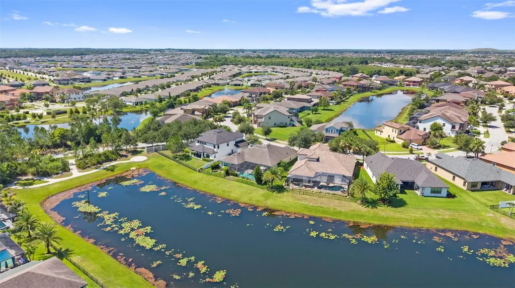 13340 Fawn Lily Drive Riverview FL 33579