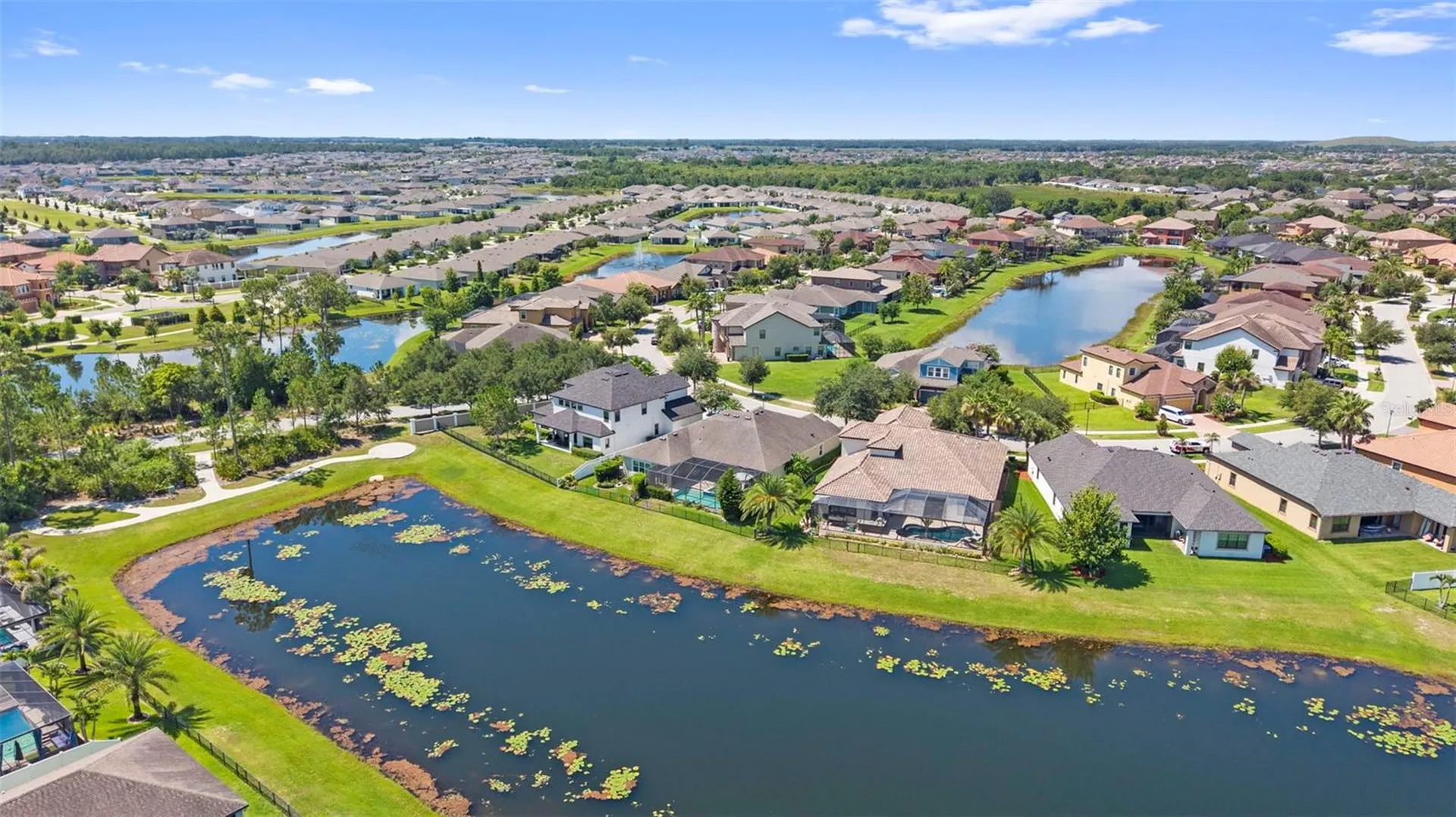 13340 Fawn Lily Drive Riverview FL 33579