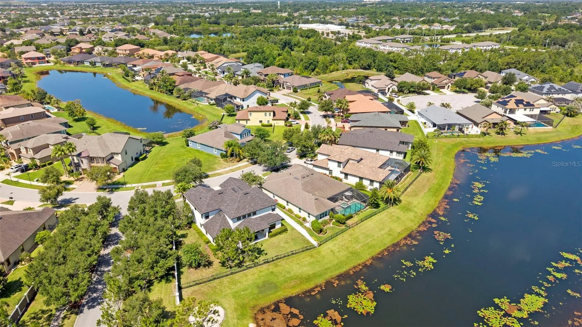 13340 Fawn Lily Drive Riverview FL 33579