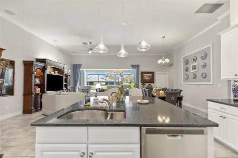 13340 Fawn Lily Drive Riverview FL 33579