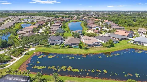 13340 Fawn Lily Drive Riverview FL 33579