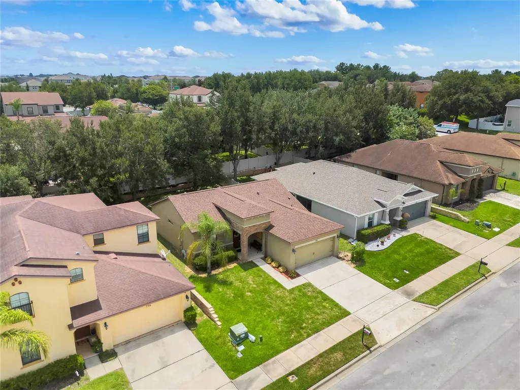 732 Arbor Pointe Avenue Minneola FL 34715
