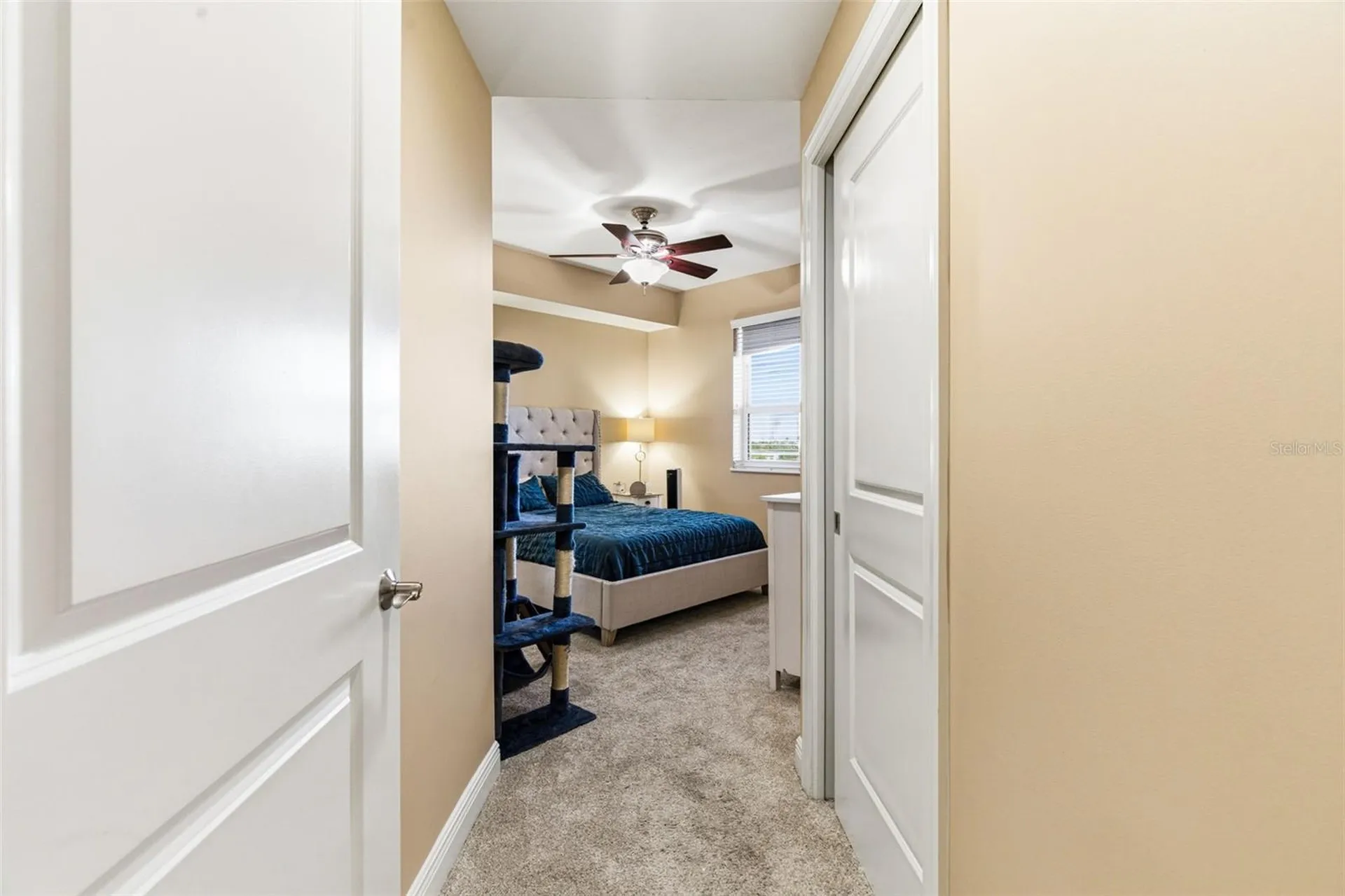 5823 Bowen Daniel Drive Tampa FL 33616