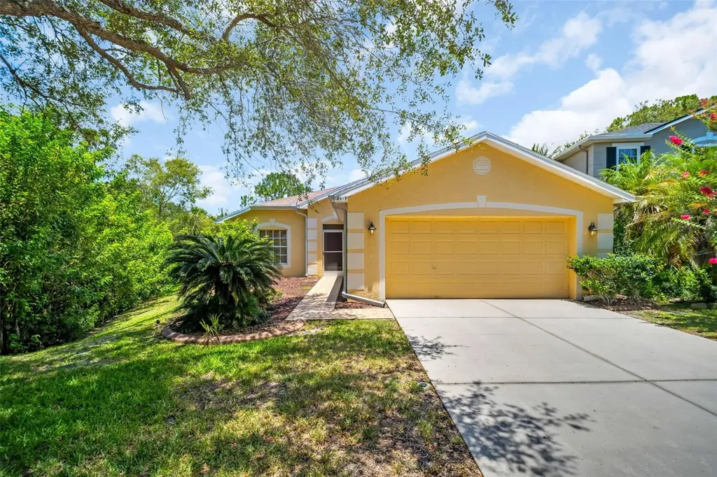 12415 Rustic View Court Tampa FL 33635