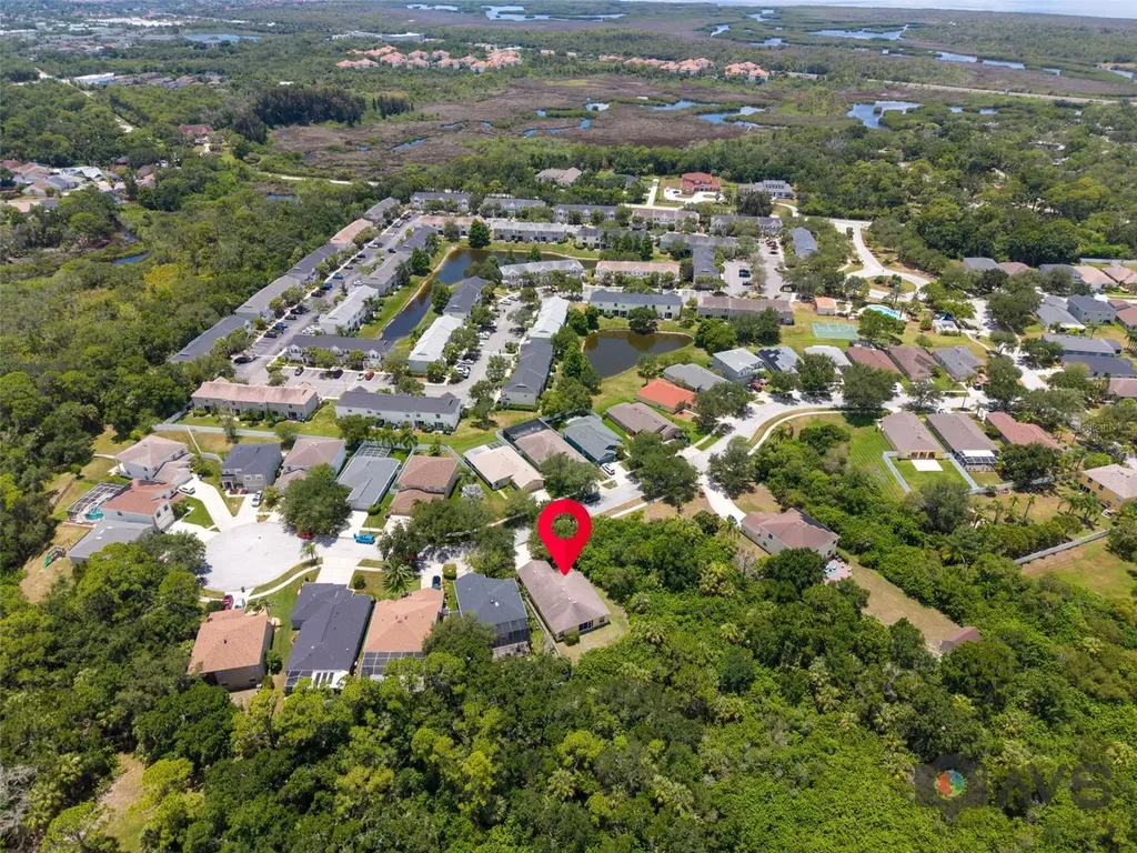 12415 Rustic View Court Tampa FL 33635