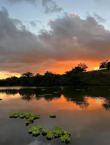 Camino Del Valle Paisaje Del Lago Luquillo PR 00773