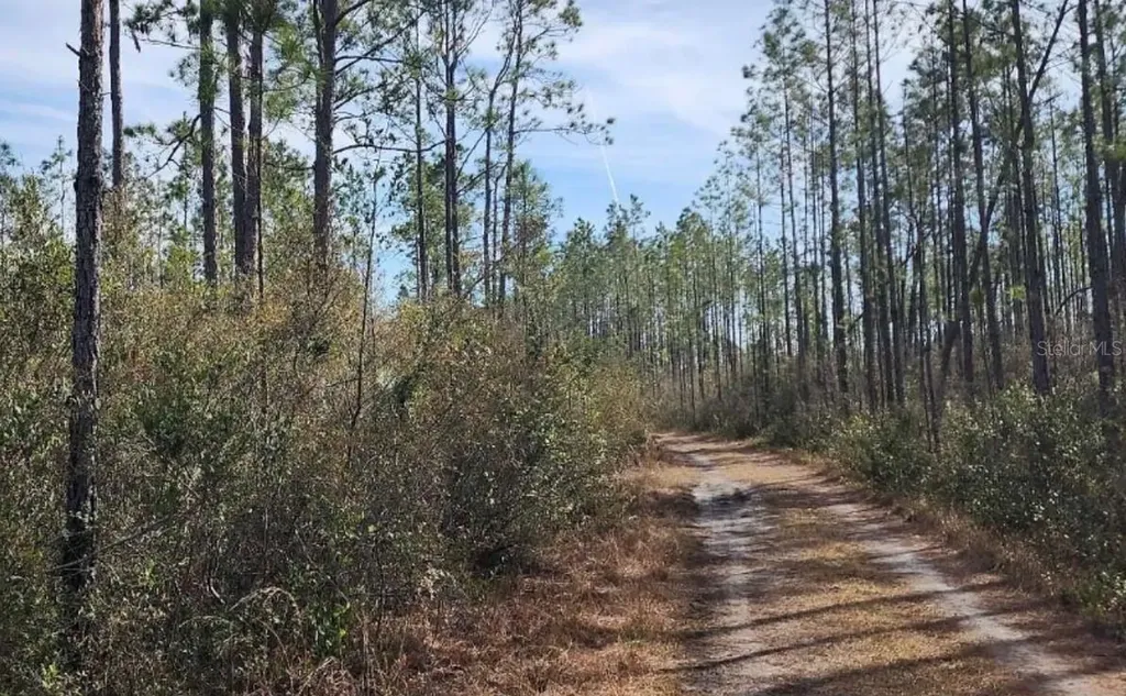 Tbd Rock Island Road Perry FL 32347