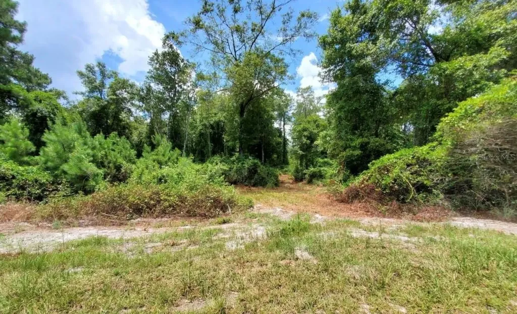 Tbd Rock Island Road Perry FL 32347