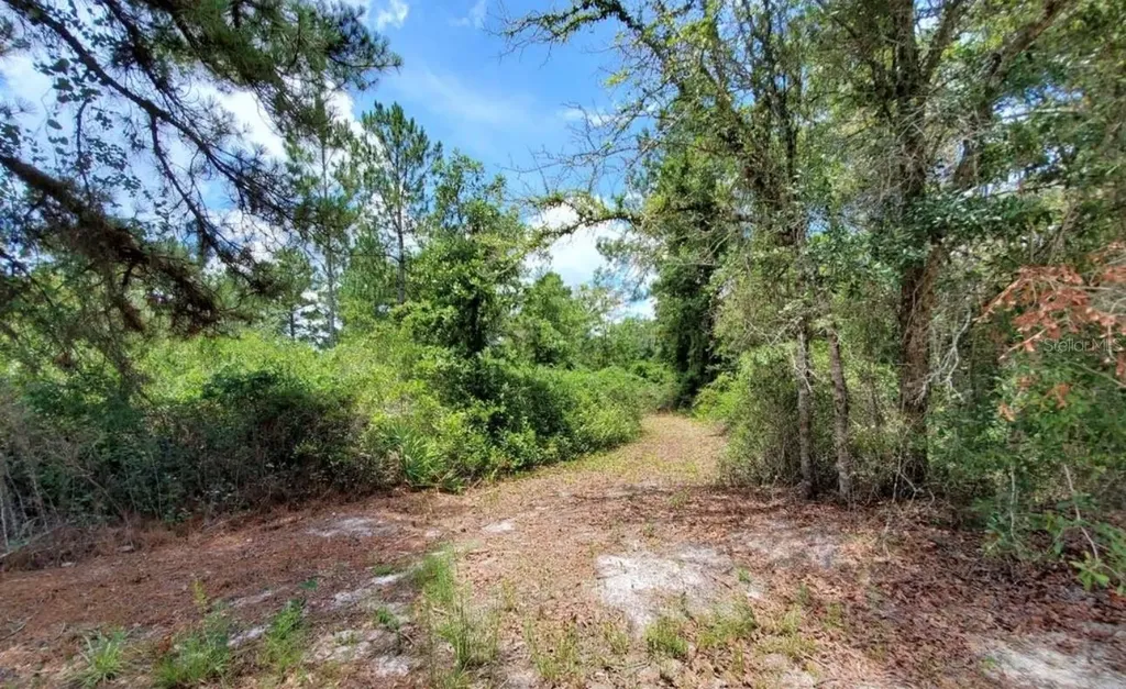 Tbd Rock Island Road Perry FL 32347