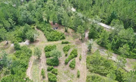 Tbd Rock Island Road Perry FL 32347