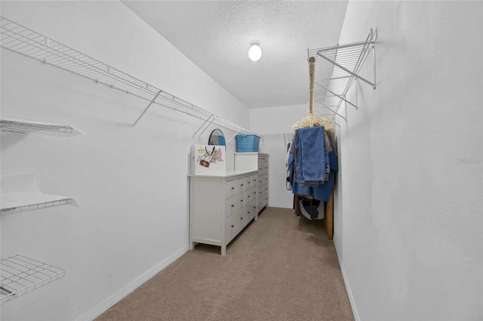 13007 Oakmont Wood Court Riverview FL 33579