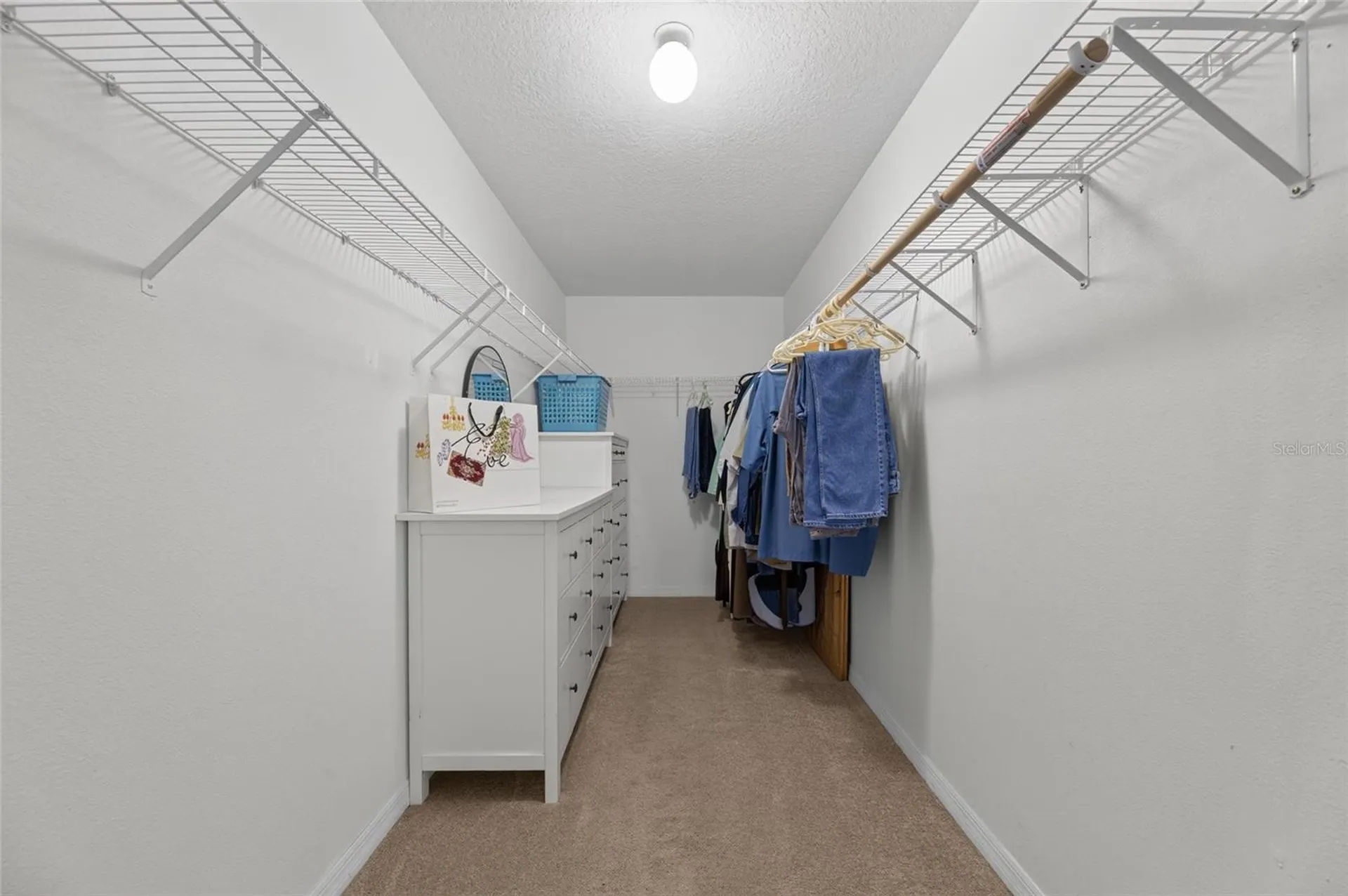 13007 Oakmont Wood Court Riverview FL 33579