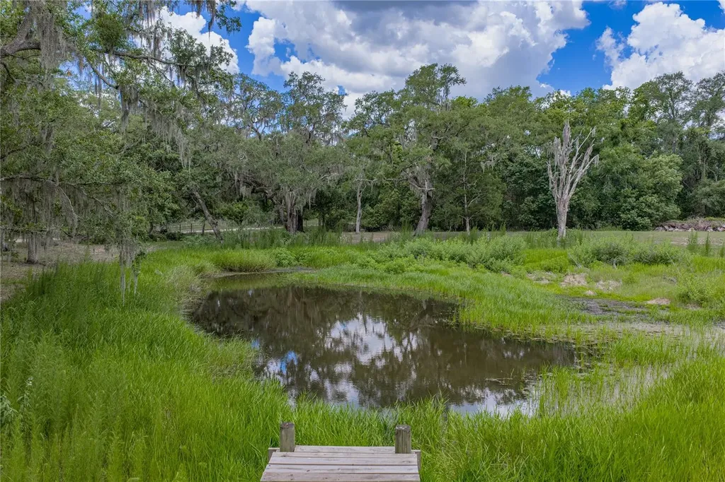 13031 Bellamy Brothers Boulevard Dade City FL 33525