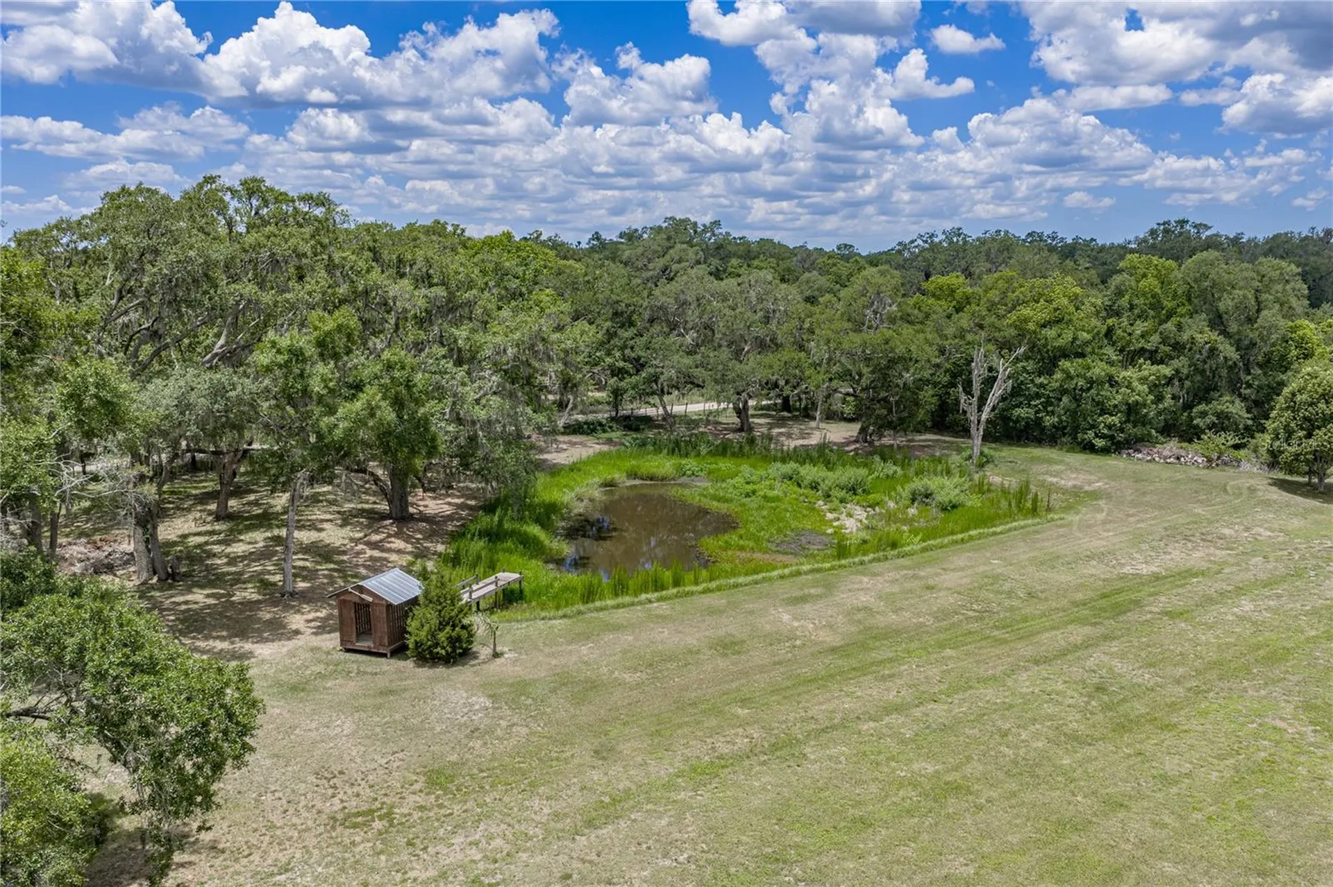 13031 Bellamy Brothers Boulevard Dade City FL 33525