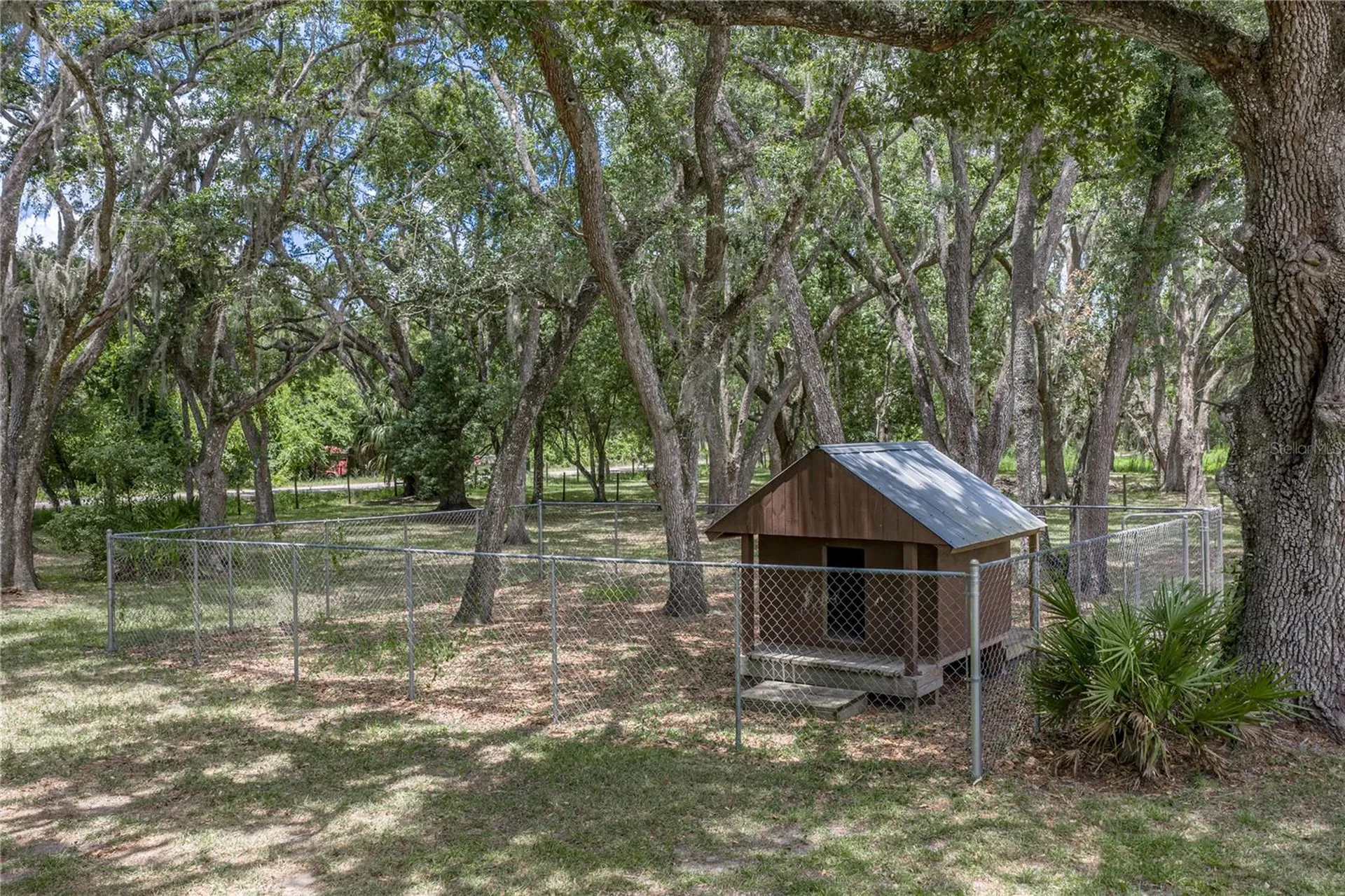 13031 Bellamy Brothers Boulevard Dade City FL 33525