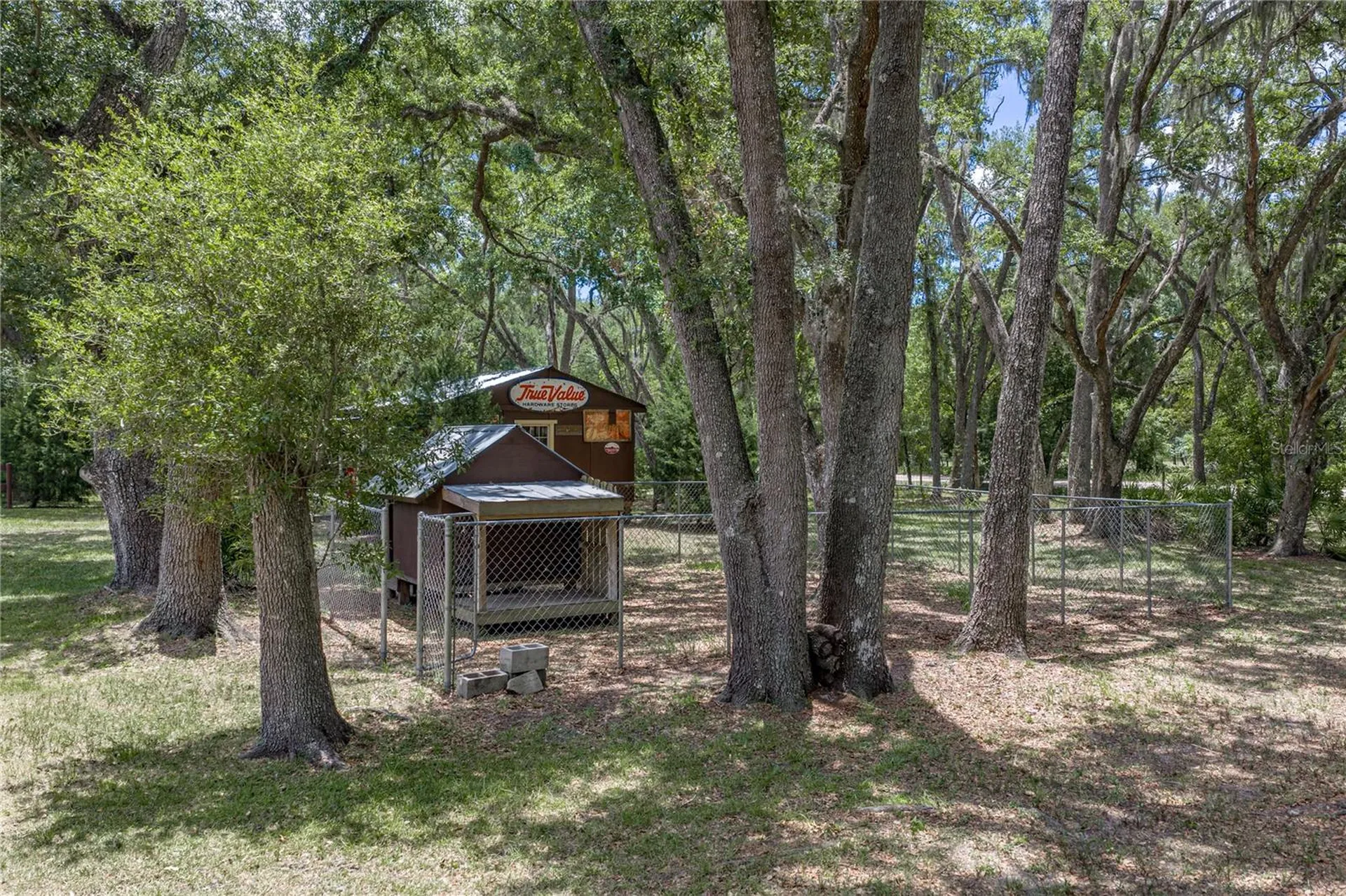 13031 Bellamy Brothers Boulevard Dade City FL 33525