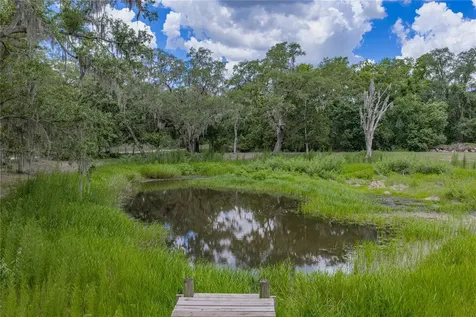 13031 Bellamy Brothers Boulevard Dade City FL 33525