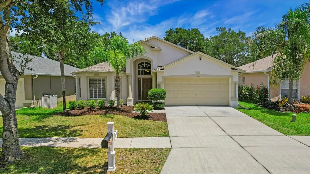 31113 Stone Arch Avenue Wesley Chapel FL 33545