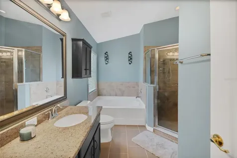 31113 Stone Arch Avenue Wesley Chapel FL 33545