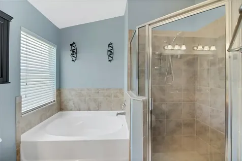 31113 Stone Arch Avenue Wesley Chapel FL 33545