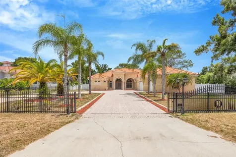 8610 Vivian Bass Way Odessa FL 33556
