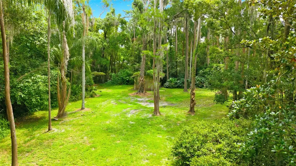 1444 Chesapeake Drive Odessa FL 33556