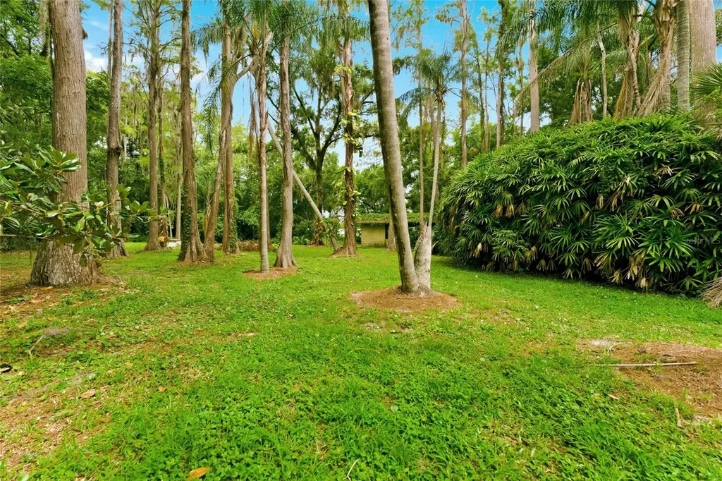 1444 Chesapeake Drive Odessa FL 33556