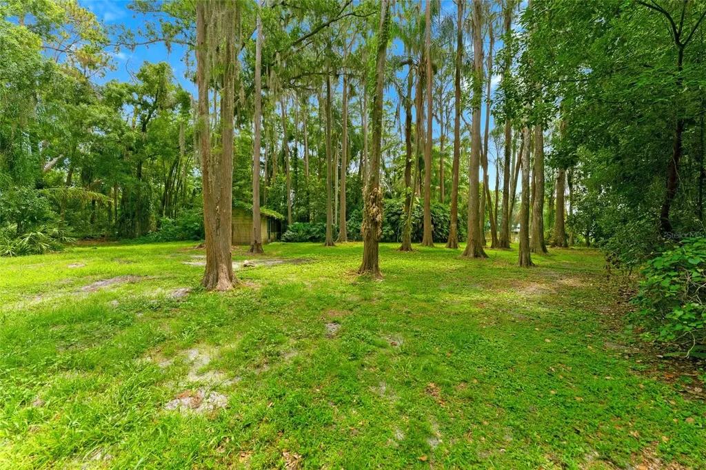 1444 Chesapeake Drive Odessa FL 33556