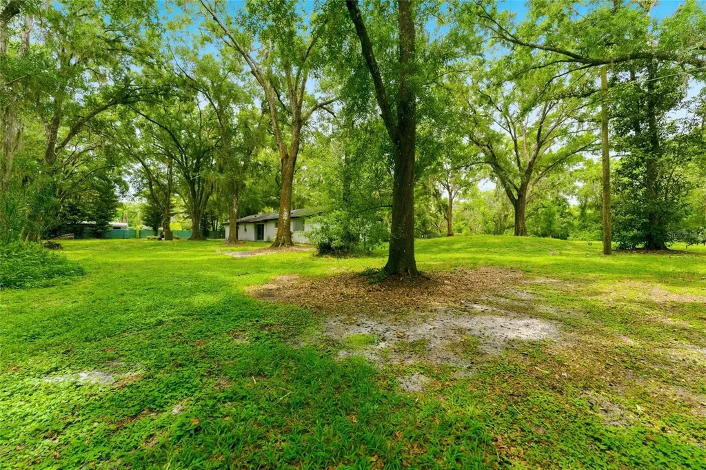 1444 Chesapeake Drive Odessa FL 33556