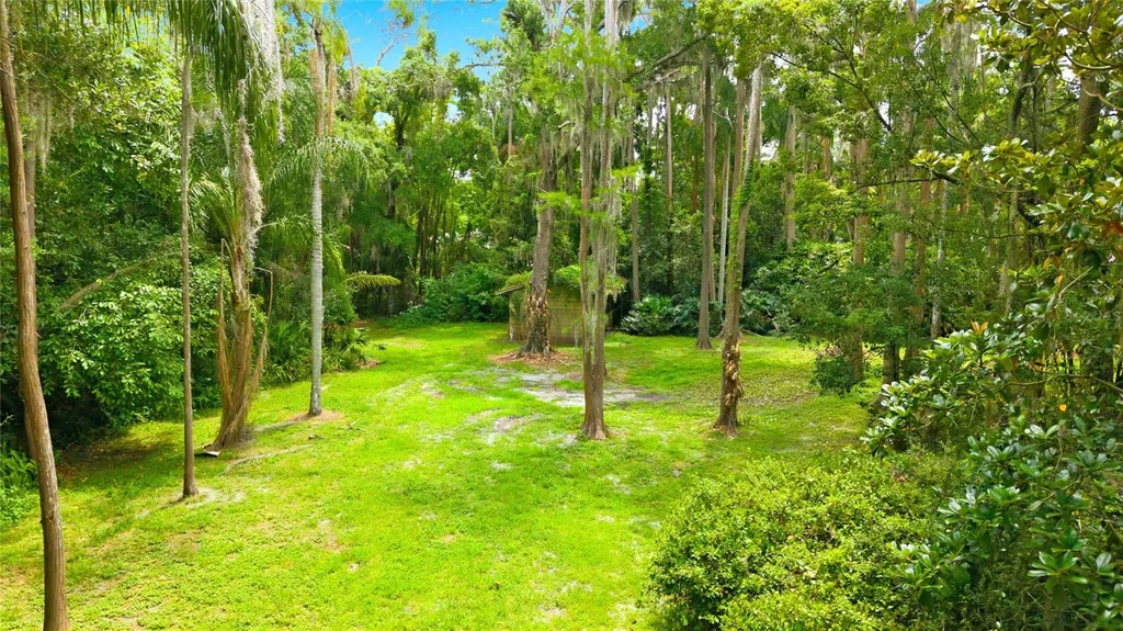 1444 Chesapeake Drive Odessa FL 33556