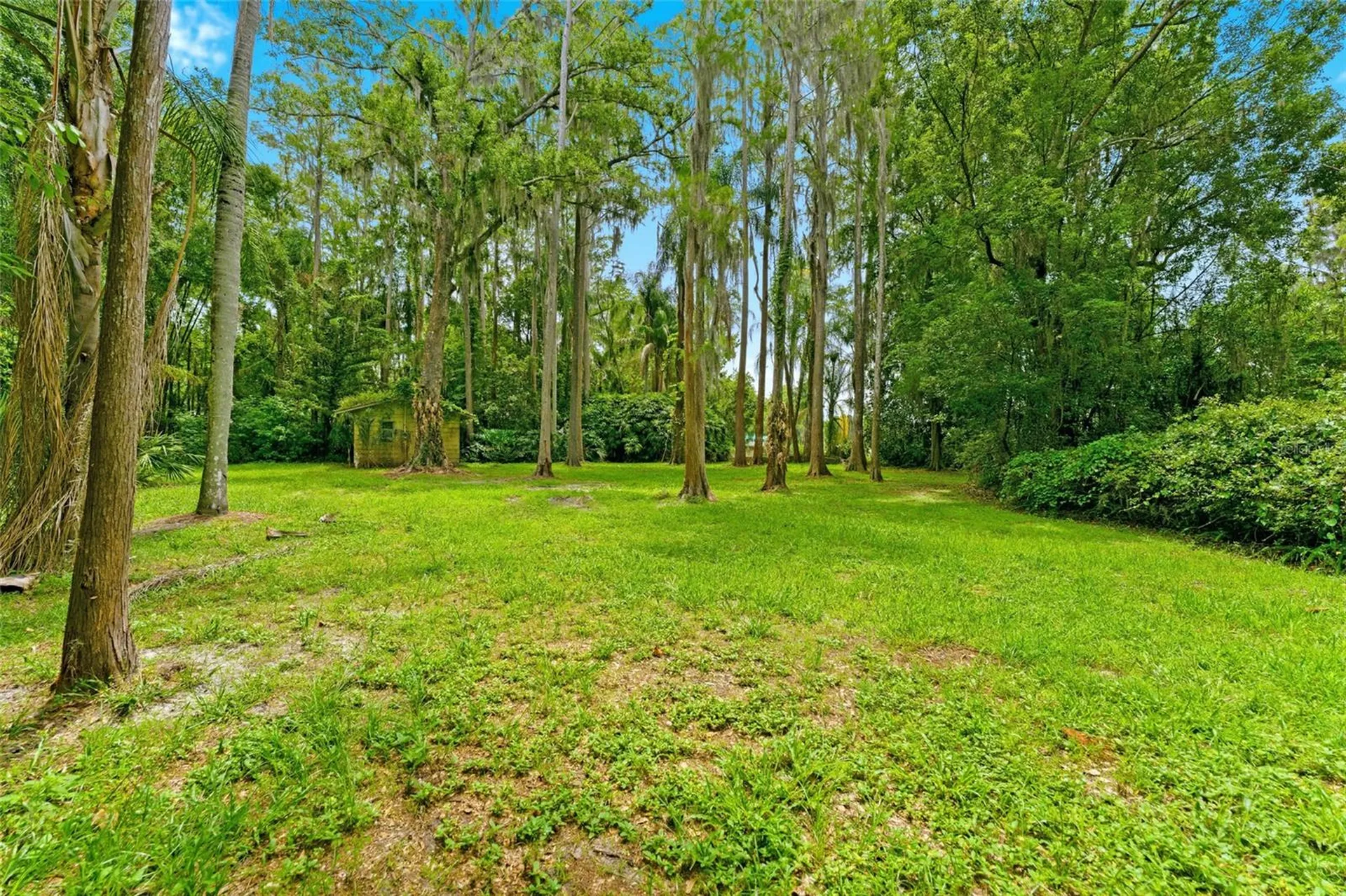 1444 Chesapeake Drive Odessa FL 33556