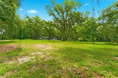 1444 Chesapeake Drive Odessa FL 33556