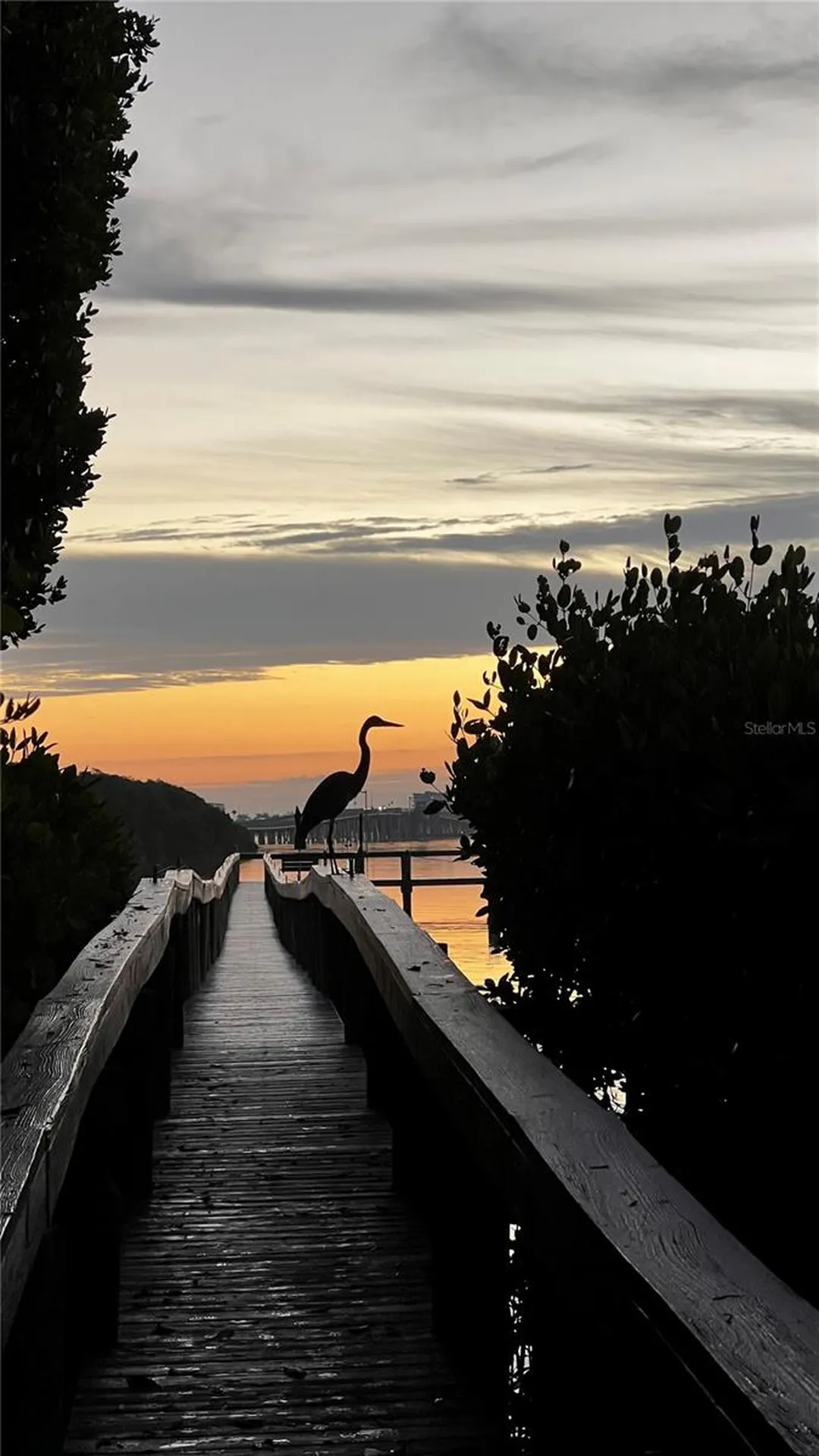3705 E Bay Drive Bradenton Beach FL 34217