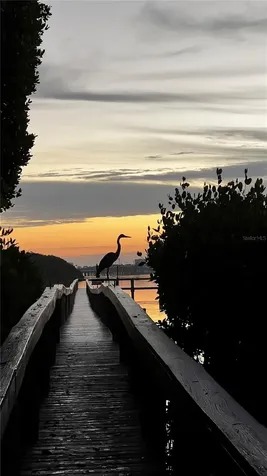 3705 E Bay Drive Bradenton Beach FL 34217