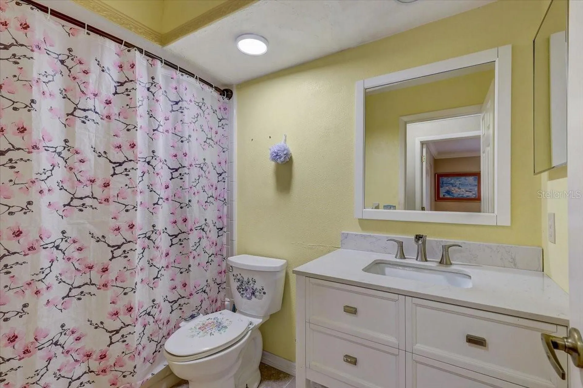 9909 Saint Joseph Court New Port Richey FL 34655