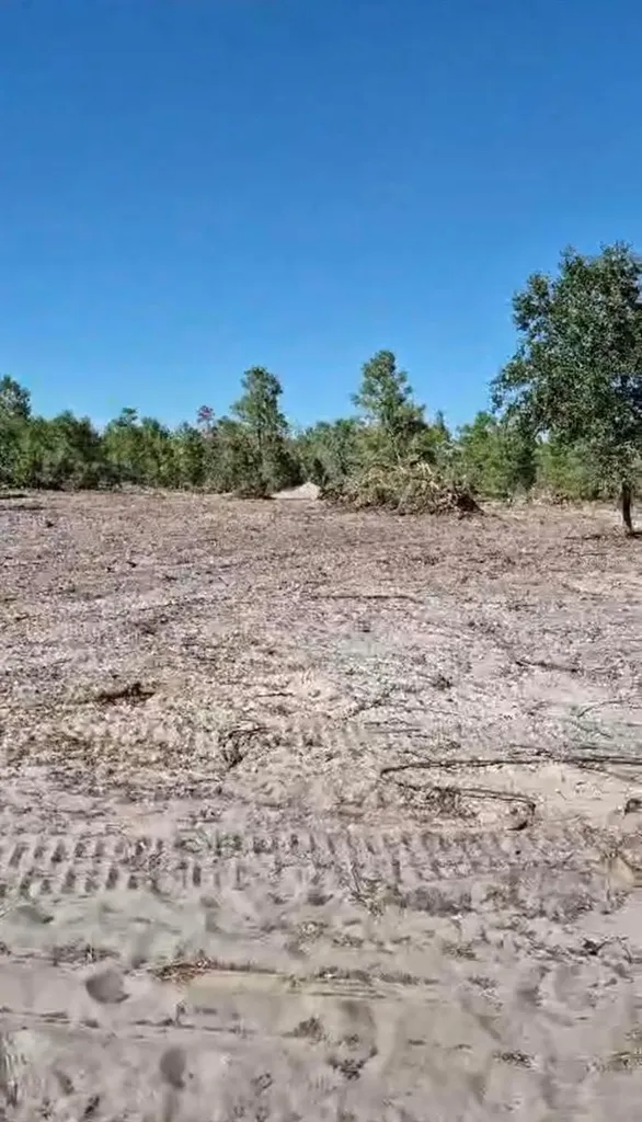 0 S Jackson Street Lake Wales FL 33859