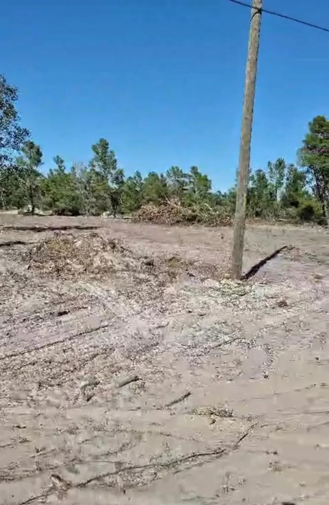 0 S Jackson Street Lake Wales FL 33859