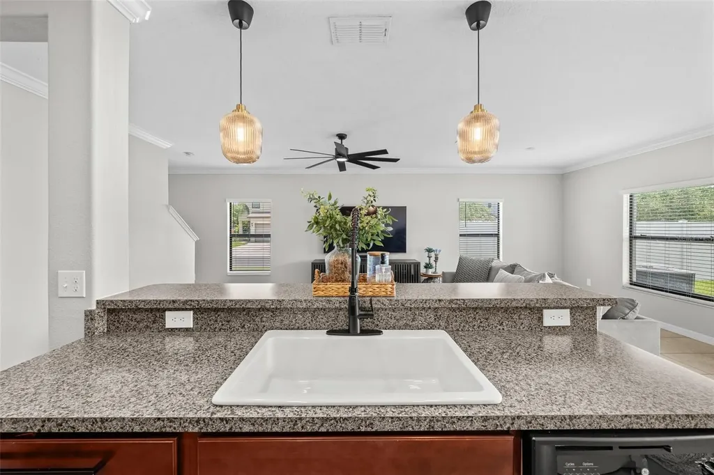 7423 Clary Sage Avenue Tampa FL 33619