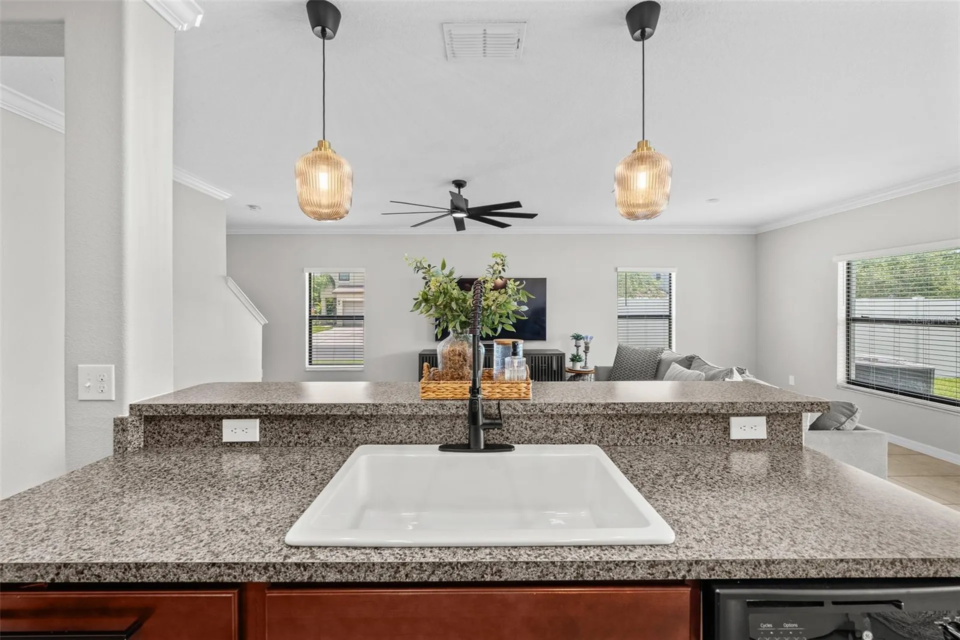 7423 Clary Sage Avenue Tampa FL 33619