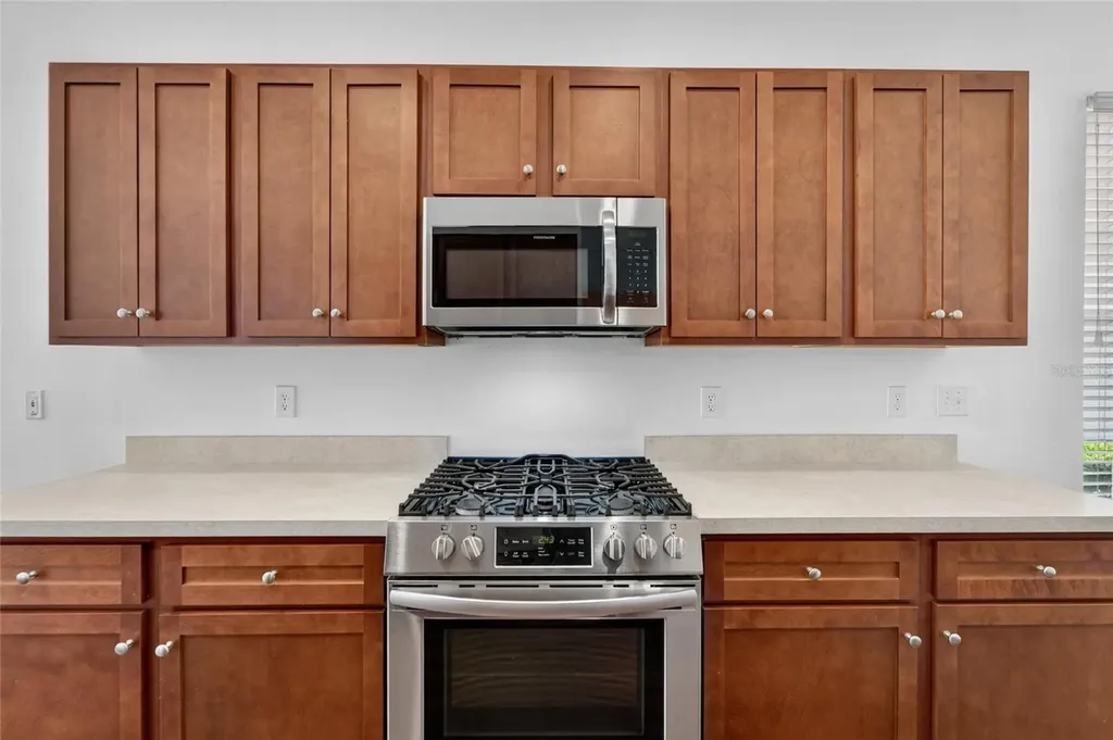 1143 Wrightswynde Court Wesley Chapel FL 33543
