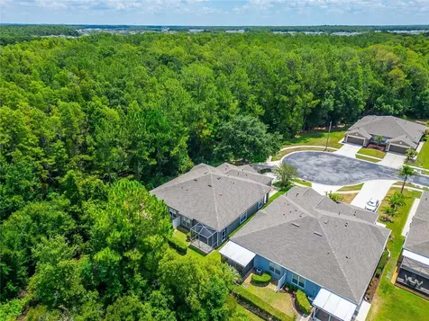 1143 Wrightswynde Court Wesley Chapel FL 33543