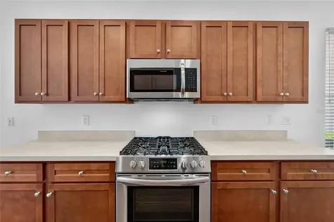 1143 Wrightswynde Court Wesley Chapel FL 33543
