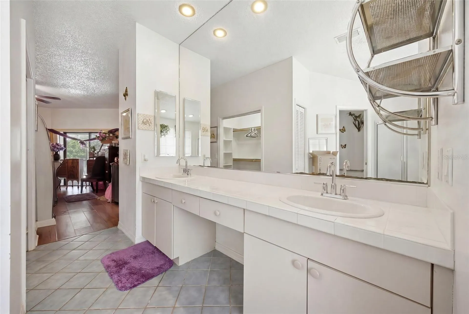 16501 Blenheim Drive Lutz FL 33549
