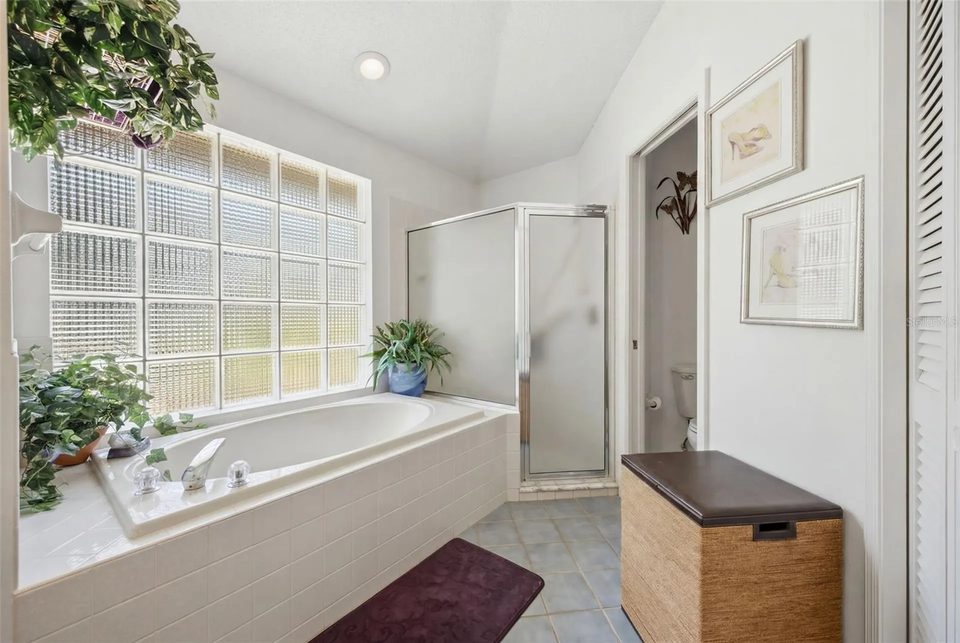 16501 Blenheim Drive Lutz FL 33549