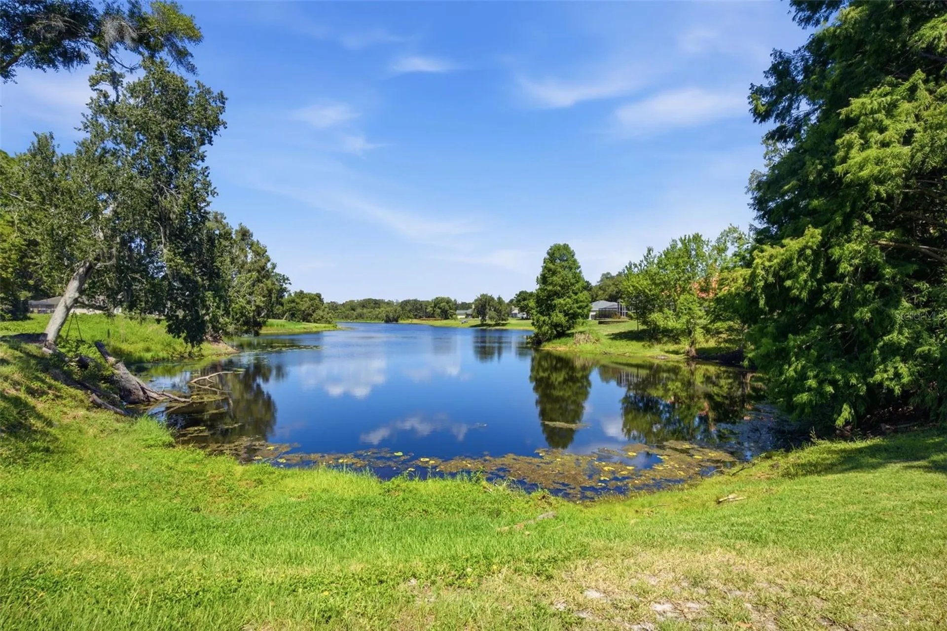 16501 Blenheim Drive Lutz FL 33549