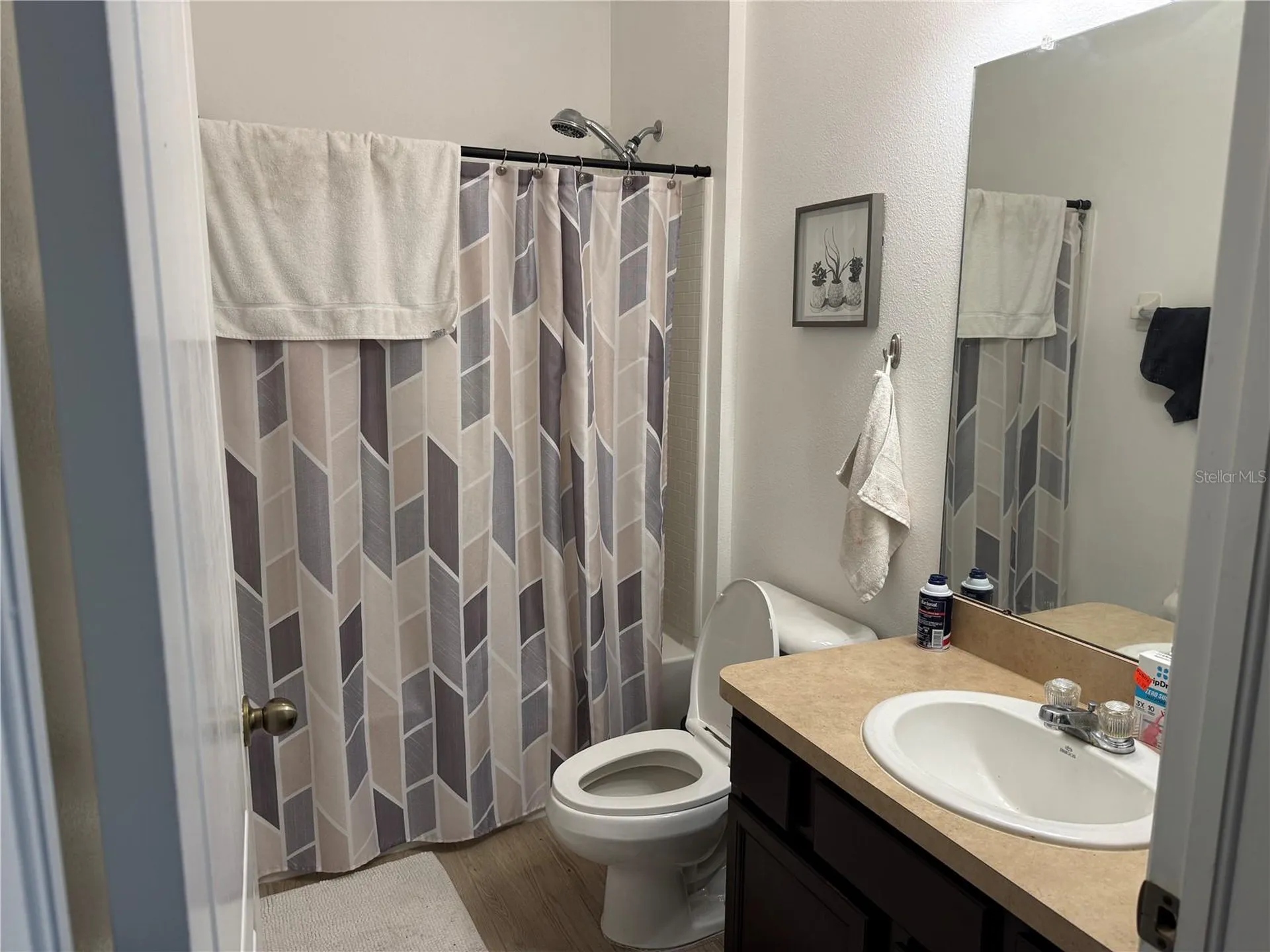 1751 Bonita Bluff Court Ruskin FL 33570