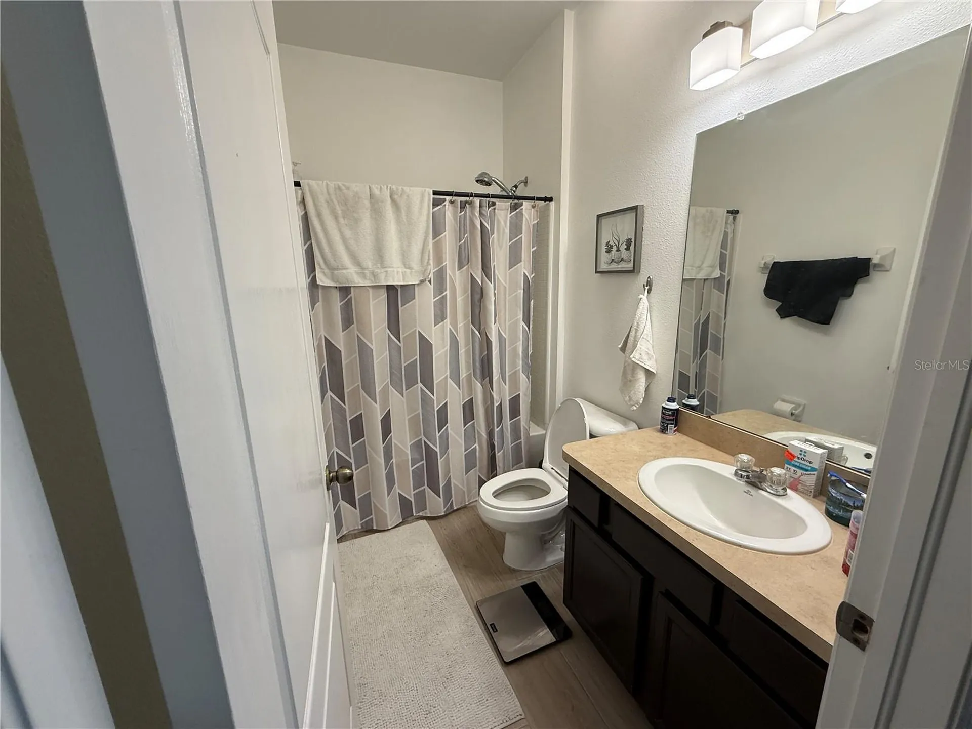 1751 Bonita Bluff Court Ruskin FL 33570